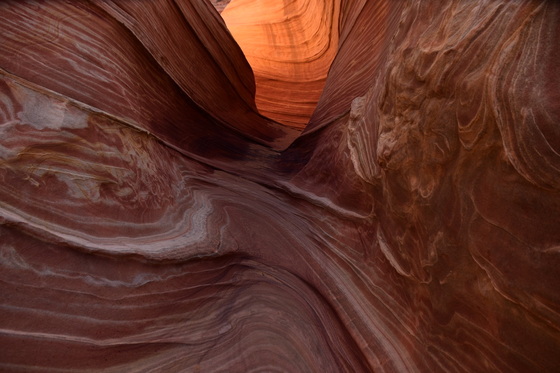 The Wave Coyote Buttes