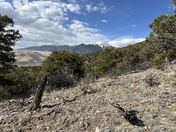 Great Sand Dunes National Park and Preserve