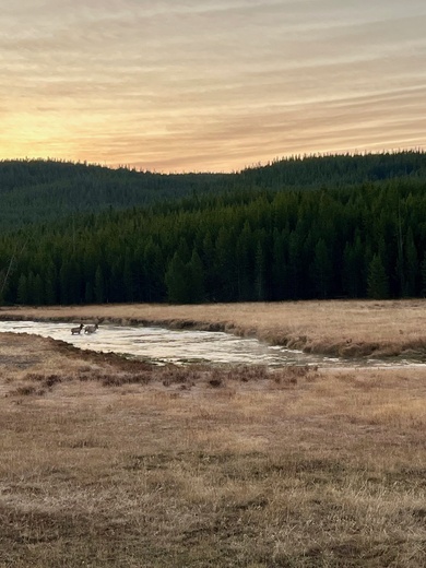 yellowstone national park
