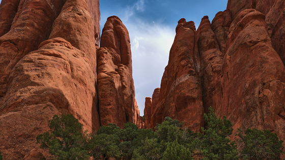 Arches National Park