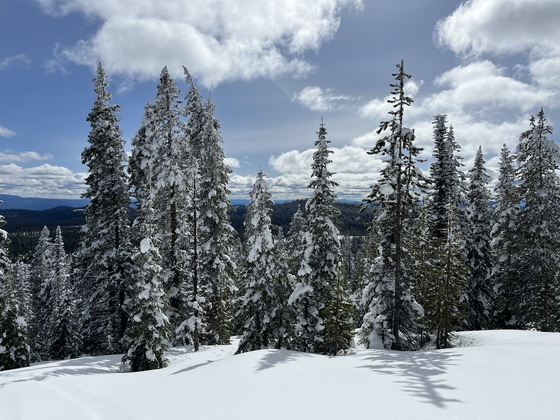 Shoshone Park