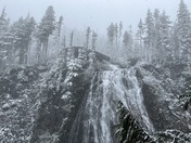 Mount Rainier National Park