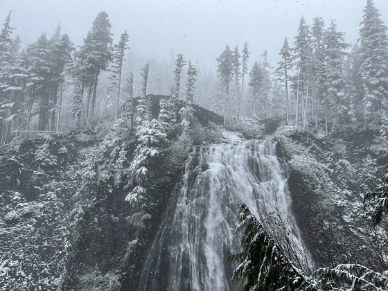 Mount Rainier National Park