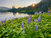 Chugach National Forest
