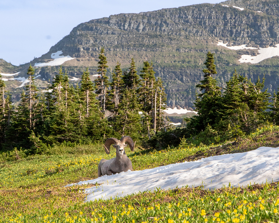 Glacier National Park