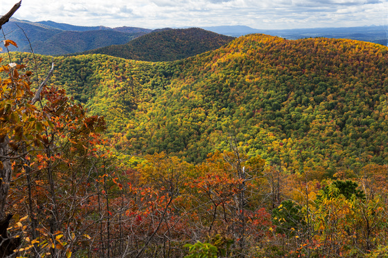 Shenandoah National Park