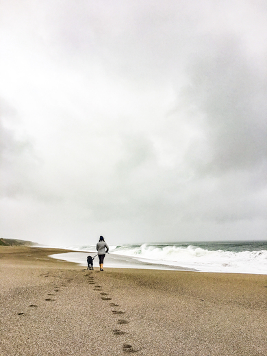 Point Reyes National Seashore