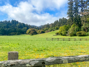 Point Reyes National Seashore