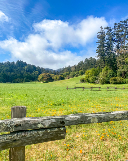 Point Reyes National Seashore