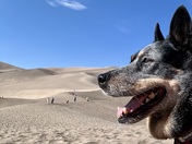 Great Sand Dunes National Park and Preserve