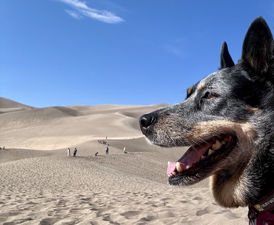 Great Sand Dunes National Park and Preserve