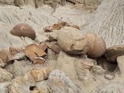 Theodore Roosevelt National Park