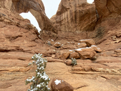 Arches National Park