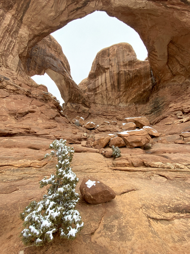 Arches National Park