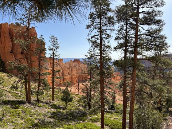 Bryce Canyon National Park
