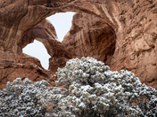 Arches National Park