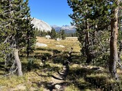 Yosemite National Park