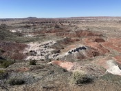 Petrified Forest National Wilderness Area