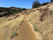 Pinnacles National Park