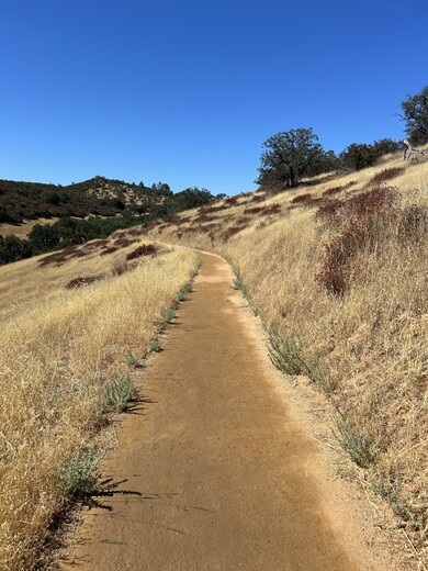 Pinnacles National Park