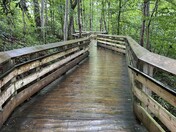 New River Gorge National Park