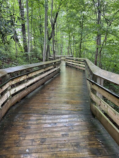 New River Gorge National Park