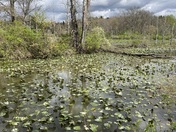 Cuyahoga Valley National Park