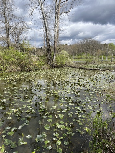 Cuyahoga Valley National Park