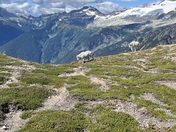 North Cascades National Park