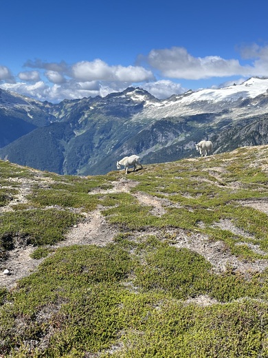 North Cascades National Park