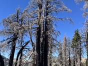 Lassen Volcanic National Park 