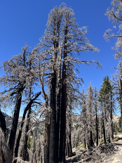 Lassen Volcanic National Park 