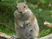 Rocky Mountain National Park