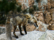 Rocky Mountain National Park
