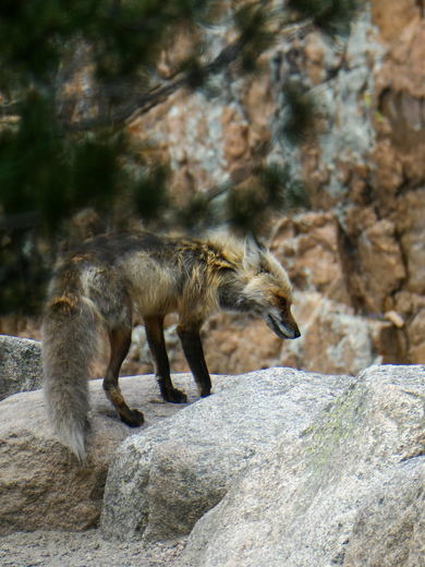 Rocky Mountain National Park