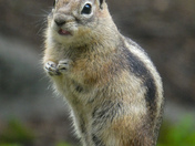 Rocky Mountain National Park 