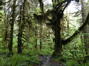 Olympic National Park