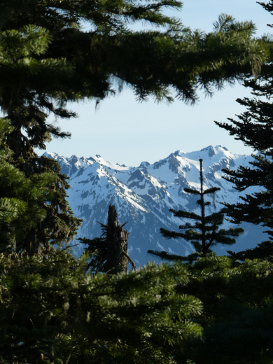 Olympic National Park