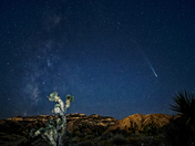 Red Rock Canyon National Conservation Area