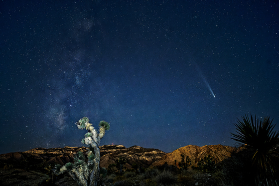 Red Rock Canyon National Conservation Area