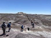 Petrified Forest National Park