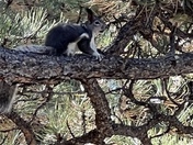 Florissant Fossil Beds National Monument
