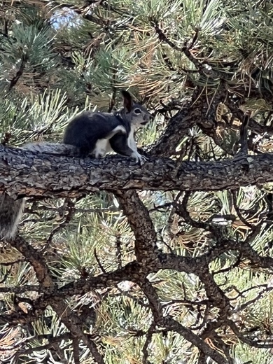 Florissant Fossil Beds National Monument