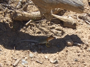 Mesa Verde National Park