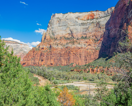 Zion National Park