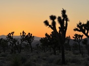 Joshua Tree National Park