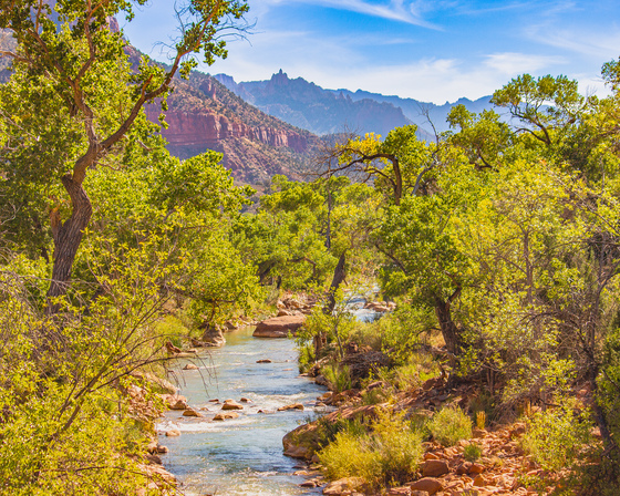 Zion National Park