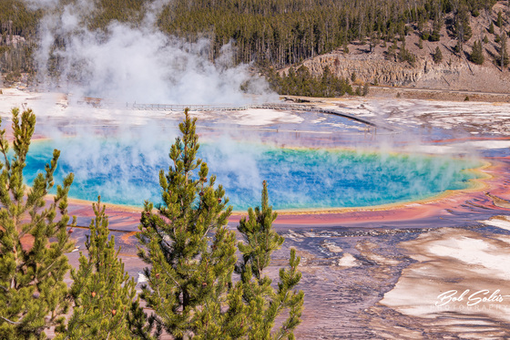 Yellowstone National Park