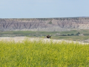 Badlands National Park