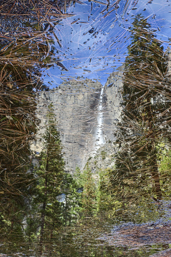 Yosemite National Park